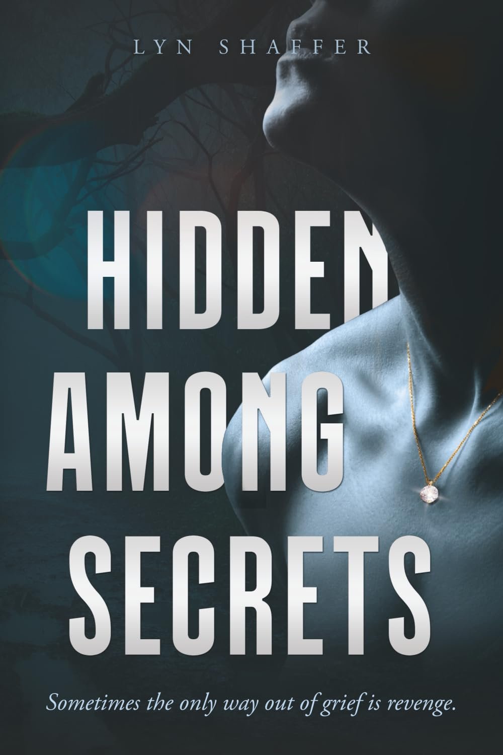 Hidden Among Secrets: Sometimes the only way out of grief is revenge.